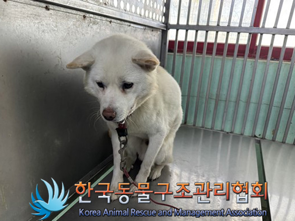 한국동물구조관리협회_441560202500016