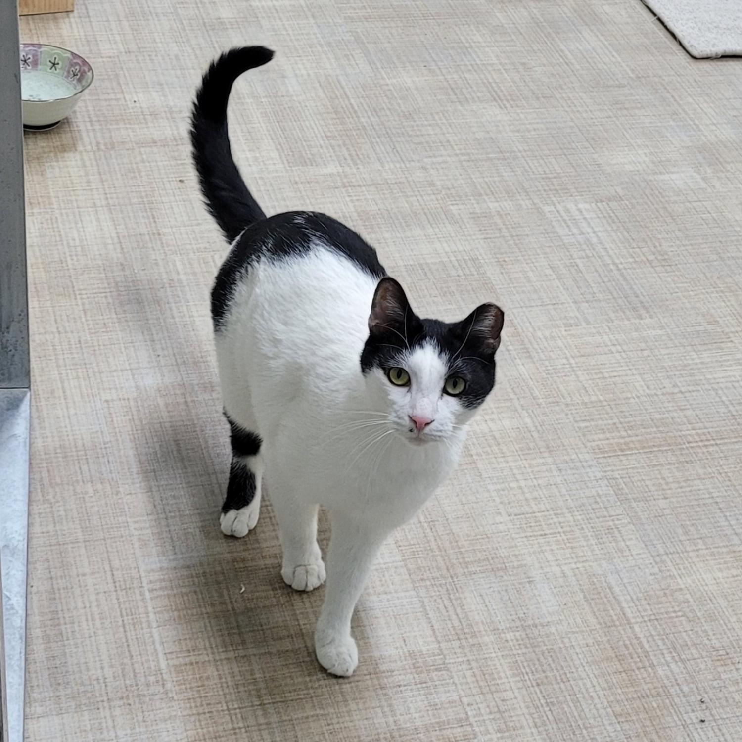 구리반려동물문화센터_441398202500006