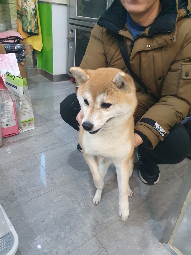 펫앤쉘터동물병원_441378202500005