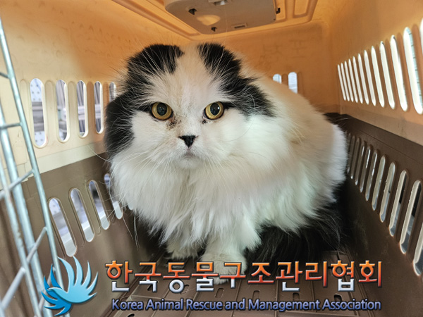 한국동물구조관리협회_441560202500026