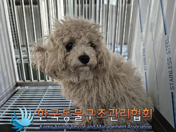 한국동물구조관리협회_411300202500002