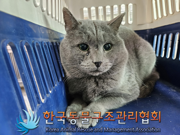 한국동물구조관리협회_441560202500025