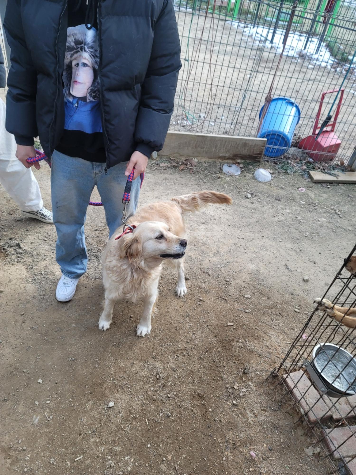 광주TNR동물병원초월_441554202500027