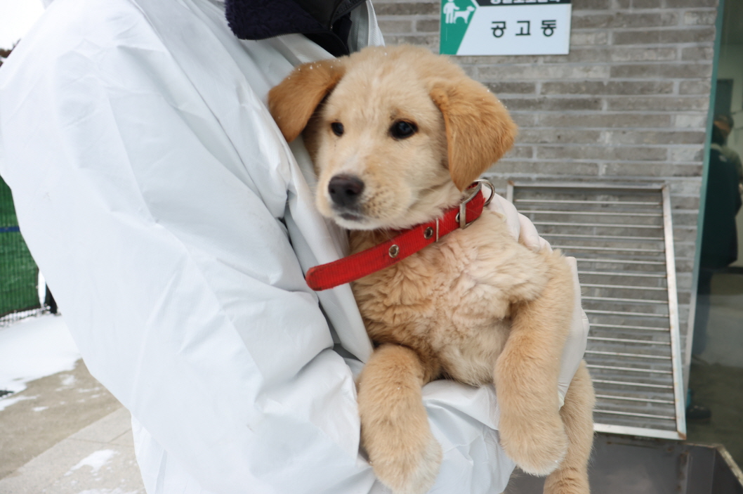 제주 동물보호센터_450650202500095