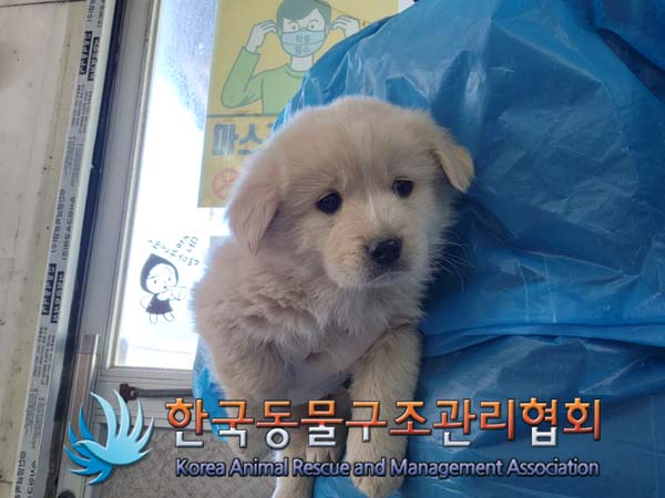 한국동물구조관리협회_441559202500016