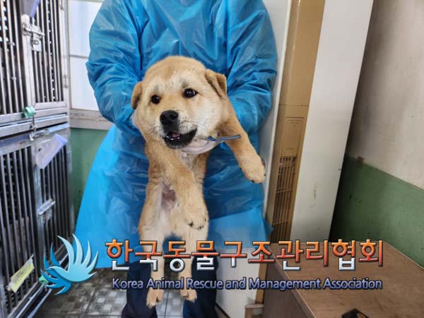종료(안락사) 믹스…