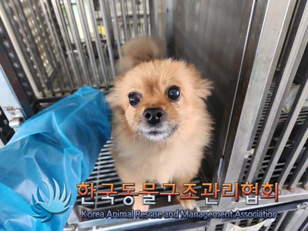 한국동물구조관리협회_441382202500006