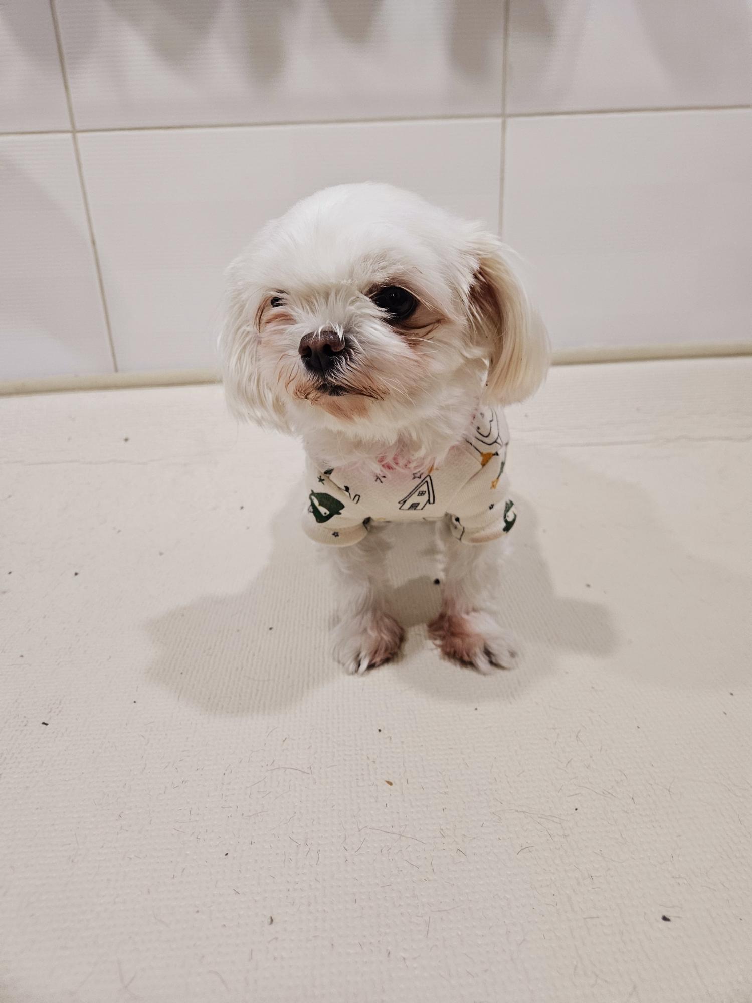 제니스동물병원_427346202500006