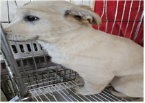 (사)동물보호관리협회_448535202500014