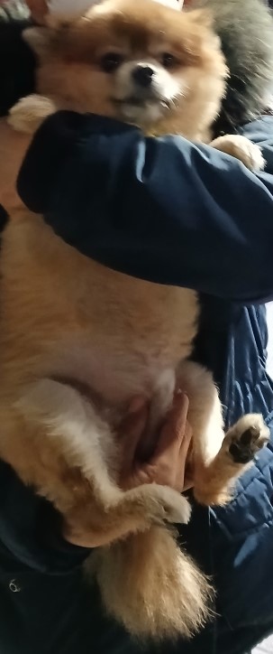 인천광역시수의사회_428353202500009