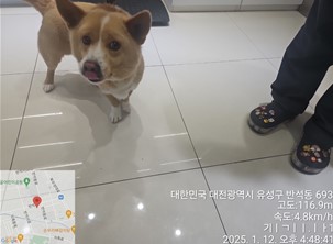 대전동물보호센터_430367202500019