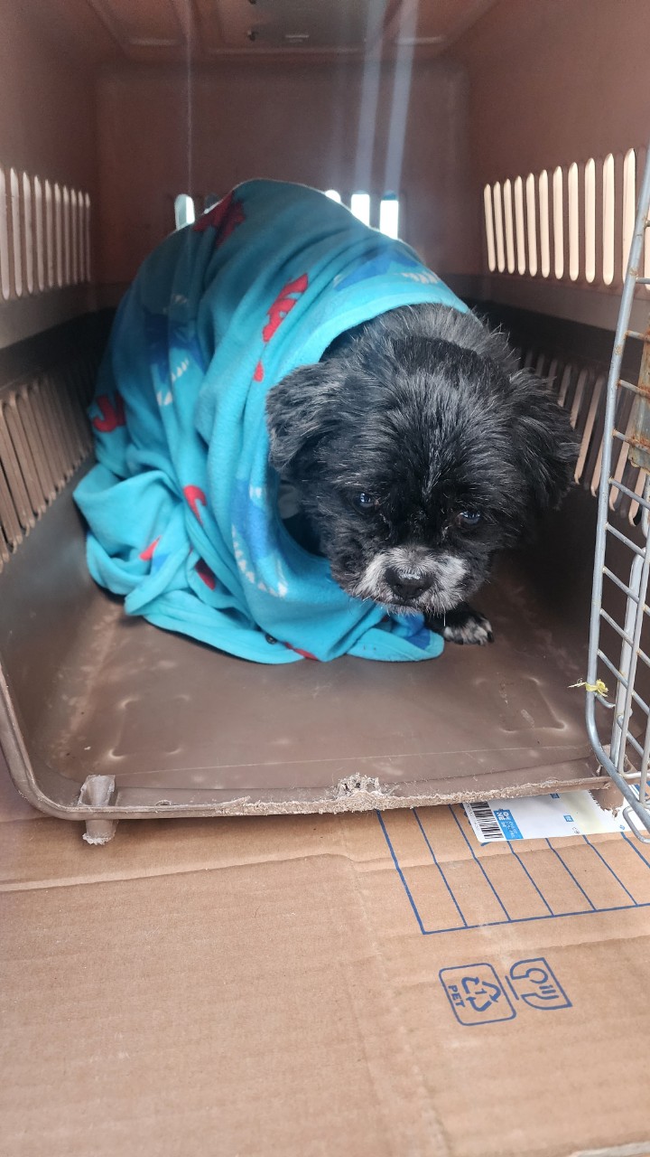 아산동물복지지원센터_444452202500031