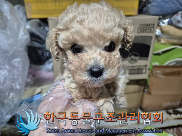 한국동물구조관리협회_441398202500007