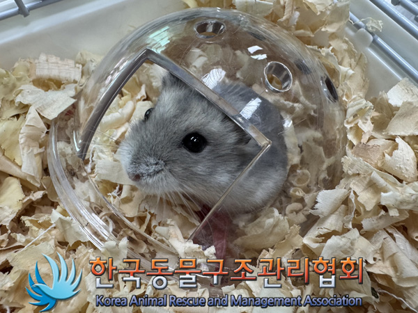 한국동물구조관리협회_411306202500004