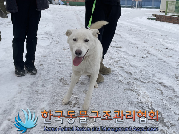 한국동물구조관리협회_441406202500021