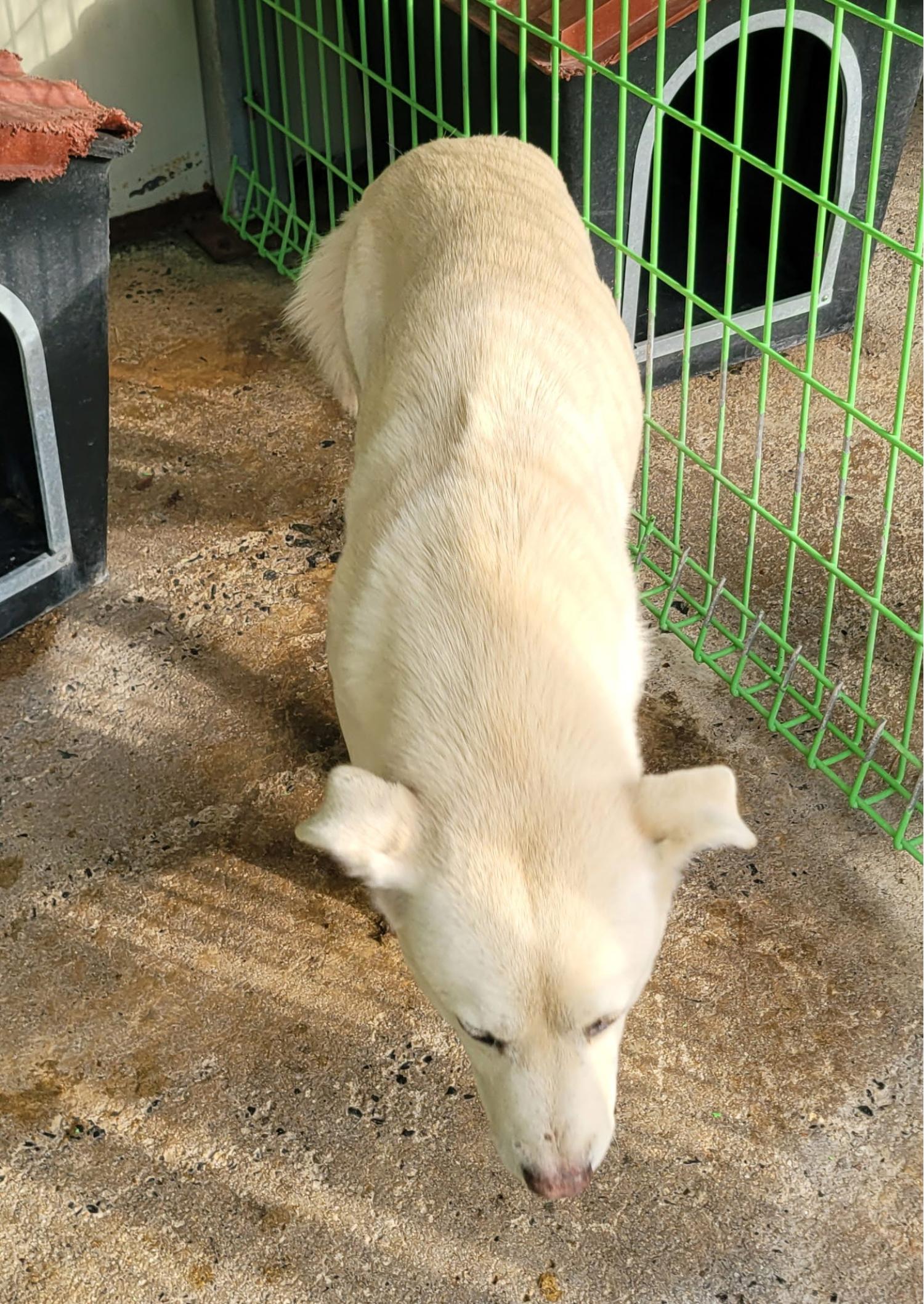 울진군동물보호센터_447525202500010