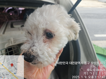 대전동물보호센터_430365202500008