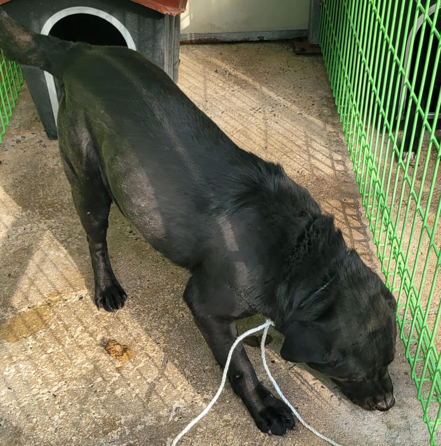 울진군동물보호센터_447525202500011