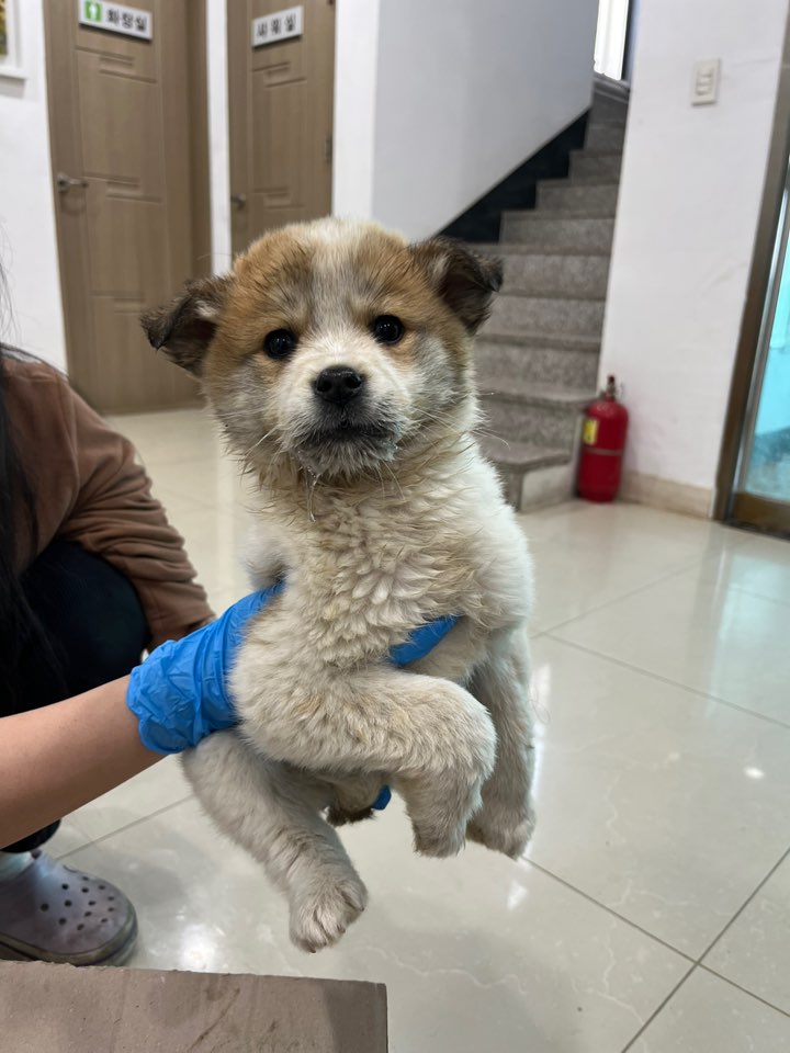 반려동물보호센터_443571202500020