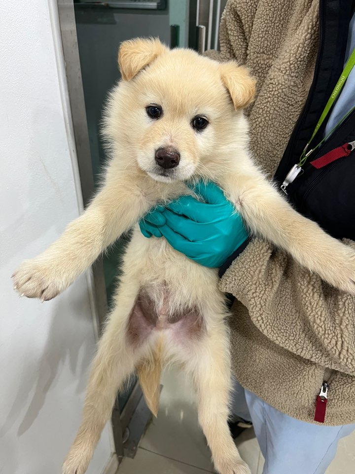 반려동물보호센터_443571202500023