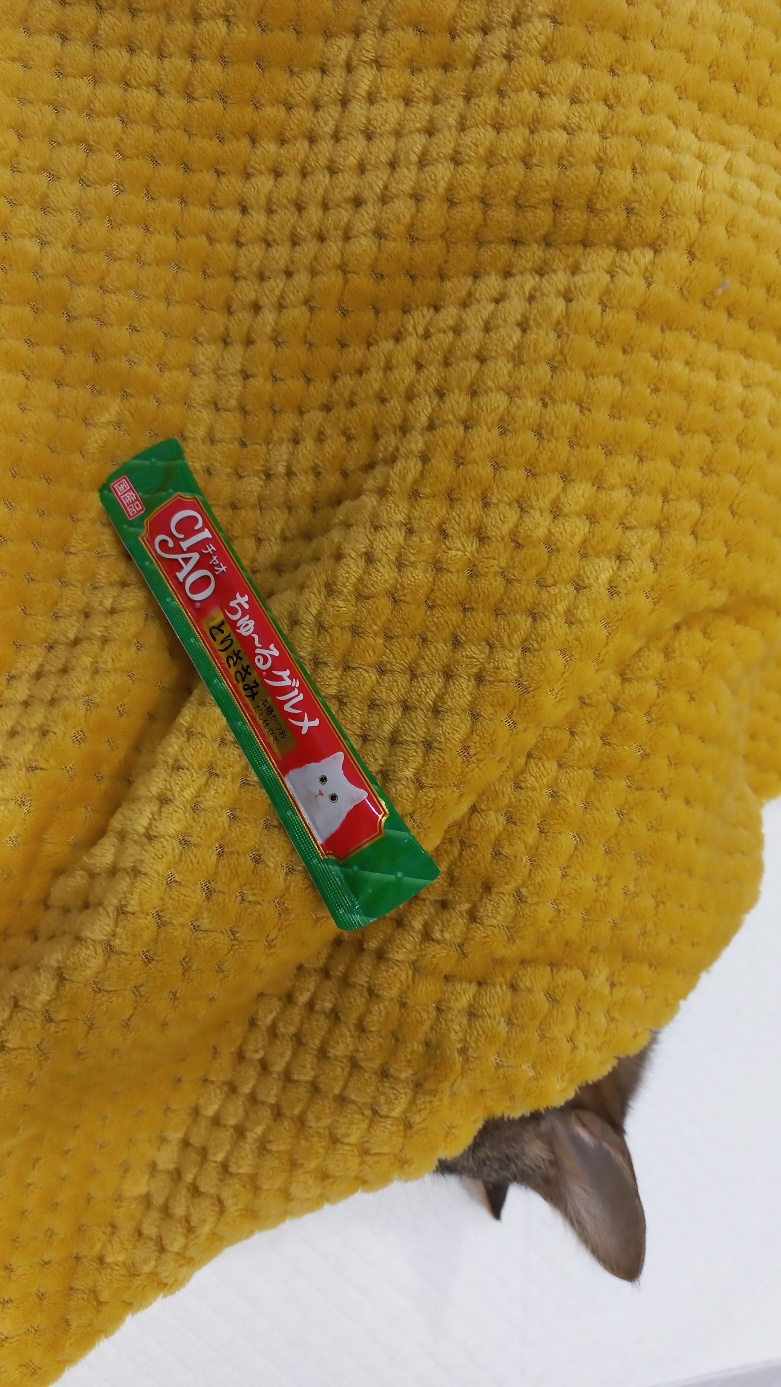 멘토동물병원_427346202500009