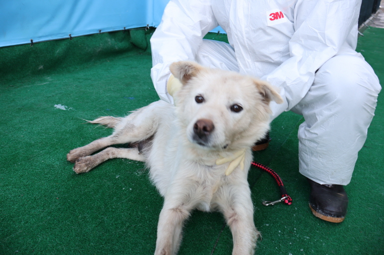 제주 동물보호센터_450650202500105
