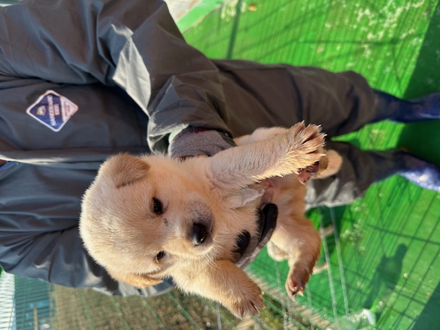 광양시 임시보호소_446484202500018