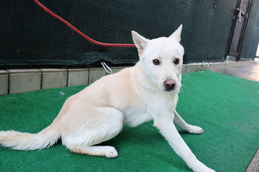 제주 동물보호센터_450650202500112