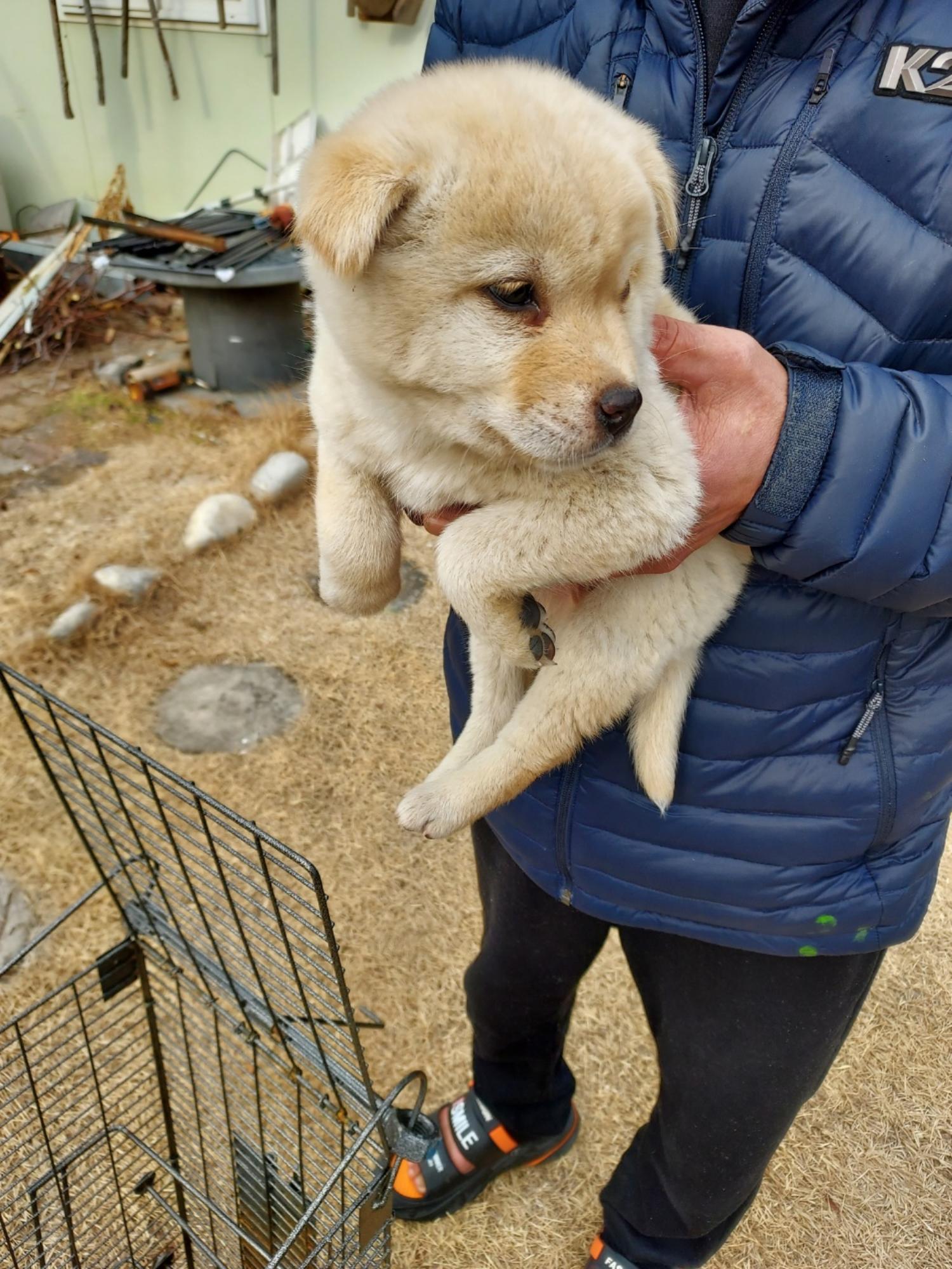 함양군위탁보호소_448546202500004