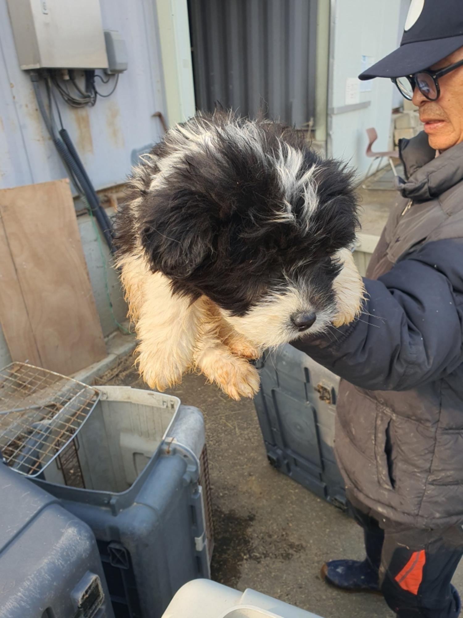 전북말산업복합센터_445471202500008