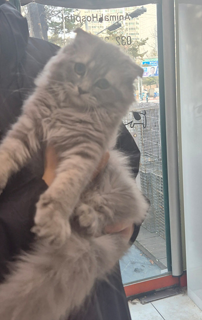 삼산종합동물병원_428354202500024