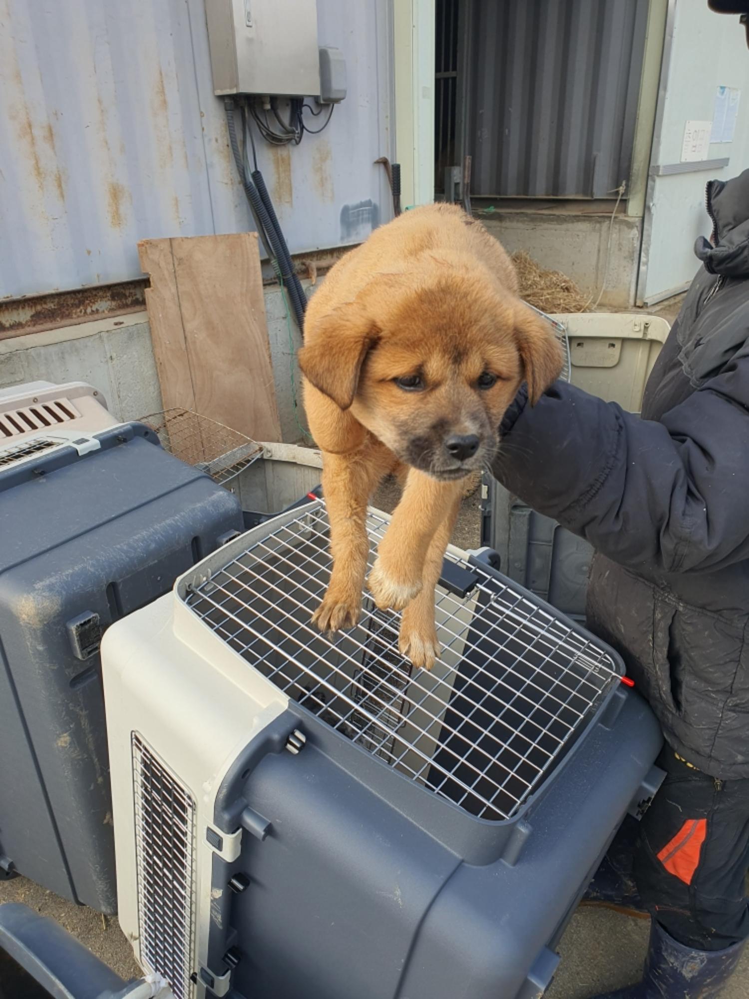 전북말산업복합센터_445471202500011