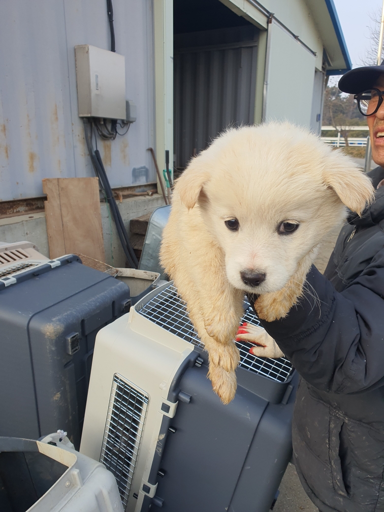 전북말산업복합센터_445471202500013