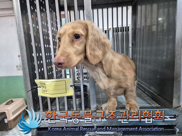 종료(반환) 스탠다…