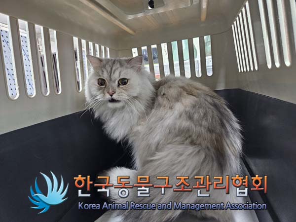 한국동물구조관리협회_441382202500007