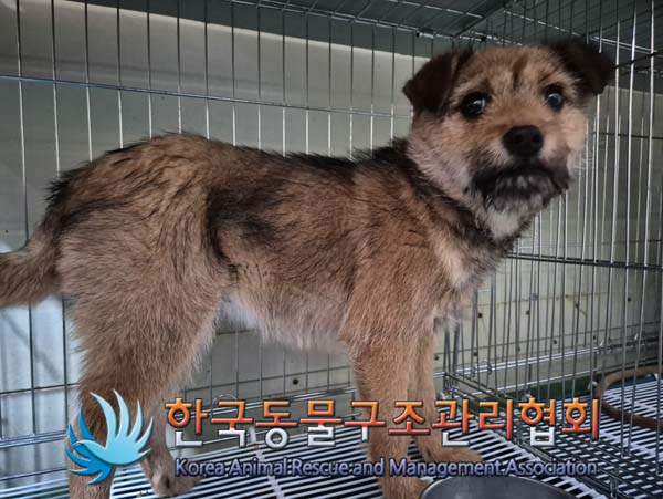한국동물구조관리협회_441559202500029