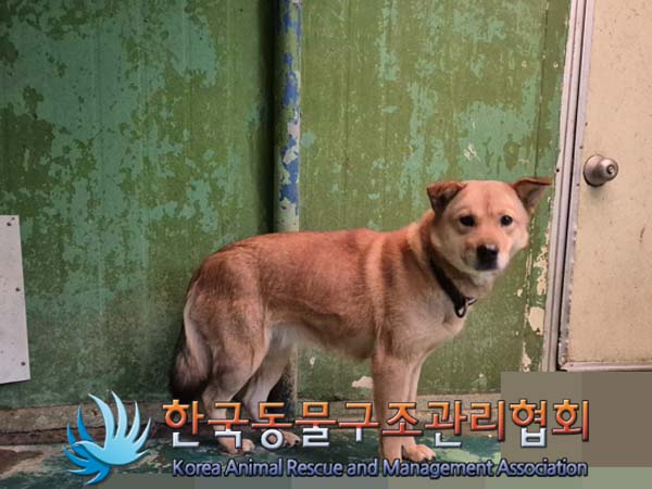 한국동물구조관리협회_441559202500020