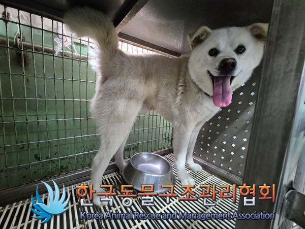 한국동물구조관리협회_441559202500018