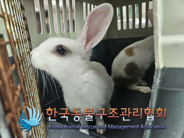 한국동물구조관리협회_411318202500004