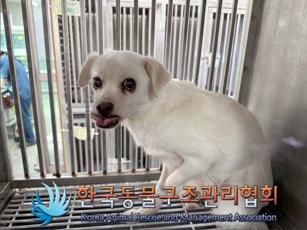 한국동물구조관리협회_411307202500004