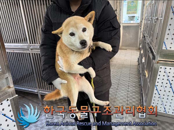 한국동물구조관리협회_411322202500003