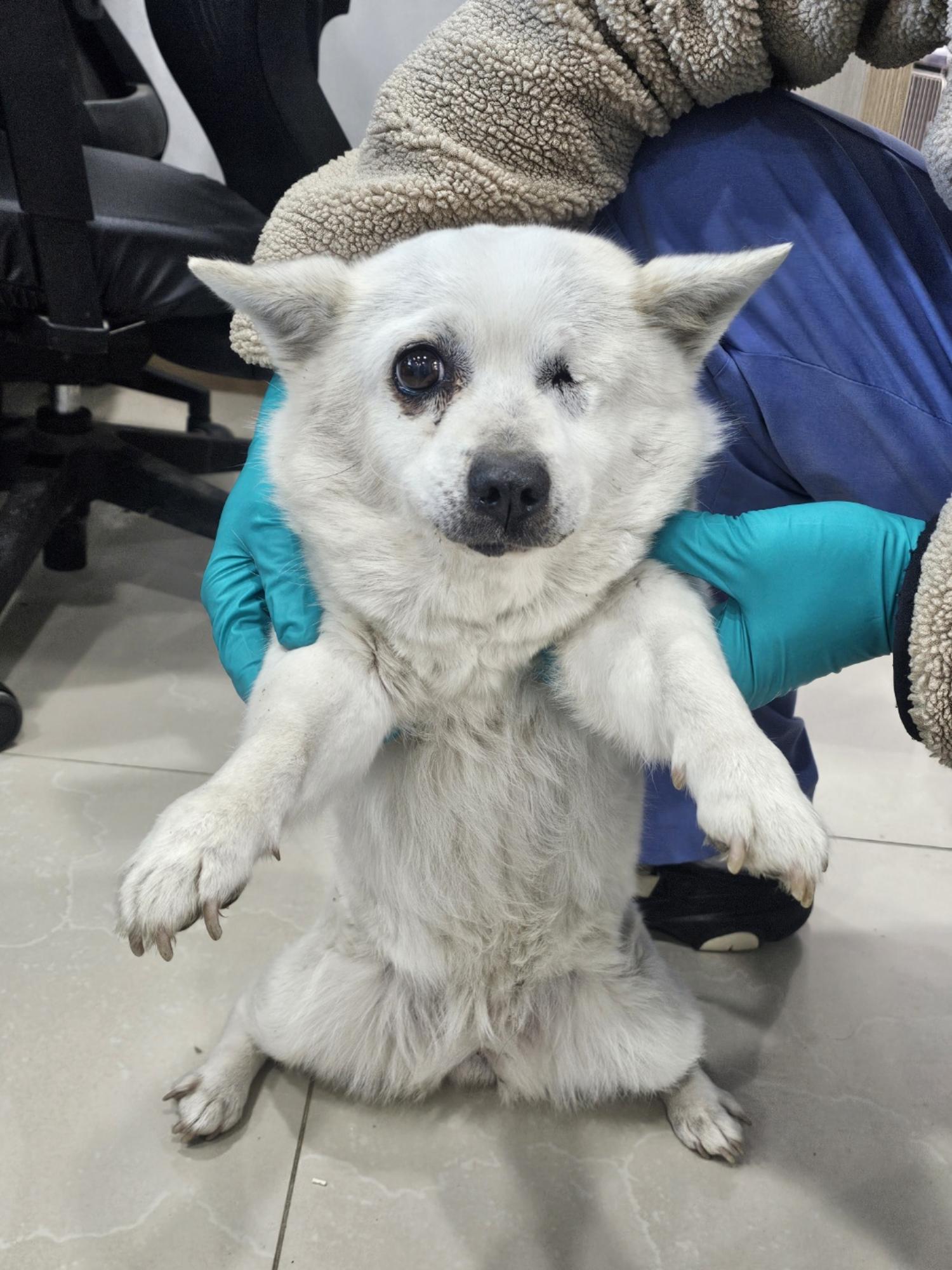 반려동물보호센터_443571202500031