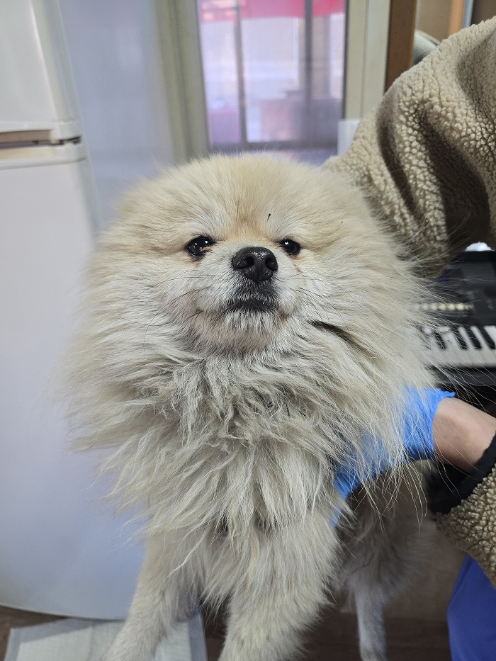 반려동물보호센터_443571202500034