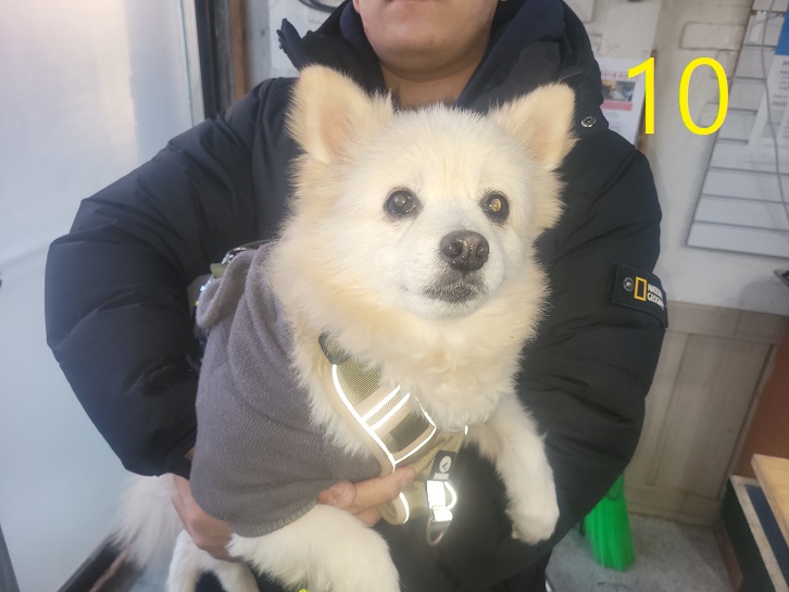신영재동물병원_428355202500010