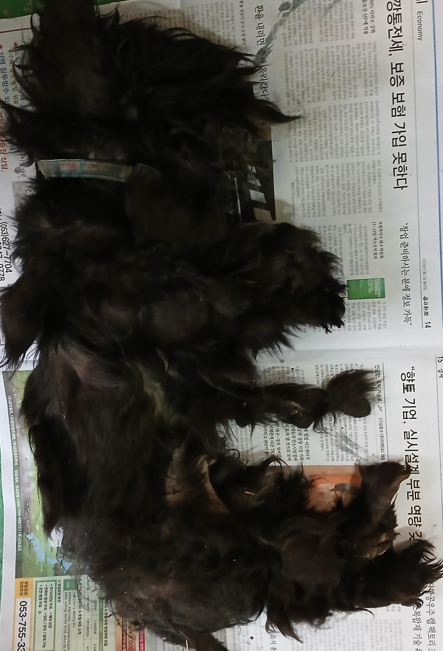 종료(자연사) 믹스…