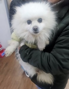 제주 동물보호센터_450650202500134