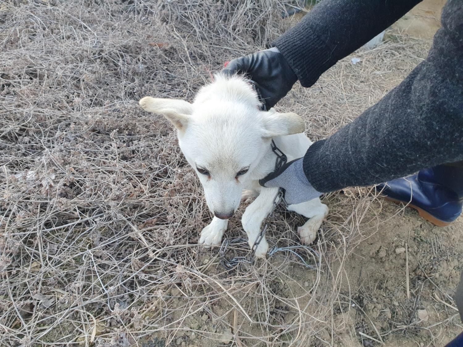 최종주동물병원_443444202500004