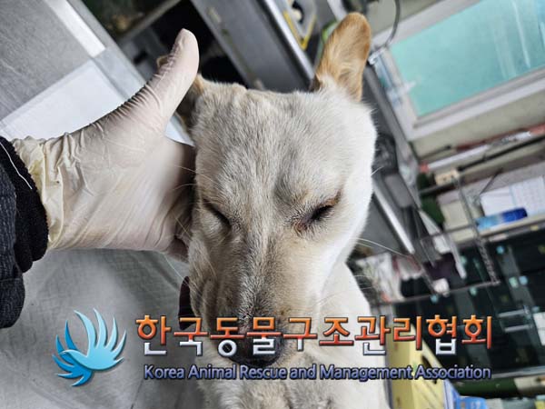 한국동물구조관리협회_441392202500004