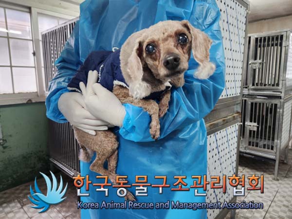 한국동물구조관리협회_441382202500009