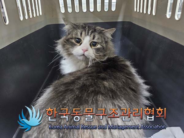 한국동물구조관리협회_411306202500005